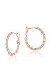 Large Hoop Earrings in 18k Rose Gold