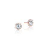 diamond-stud-earrings-fe6705ldpk