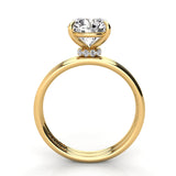 Round Pave Diamond Engagement Ring with Diamond Belt 0.05ct