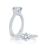 Oval Cut Center Hidden Halo Engagement Ring with Pave Band