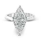 PR145 WHITE PLAT SEMI 1